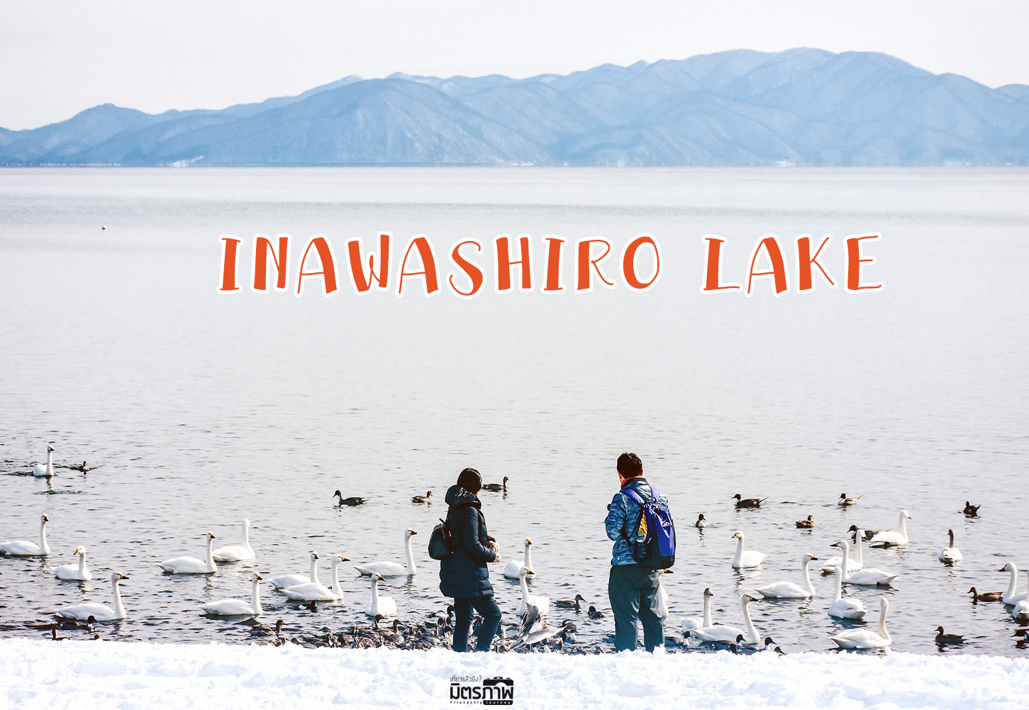 เที่ยวญี่ปุ่น ชวนเธอไปดูเป็ดดูหงส์ ที่ INAWASHIRO LAKE