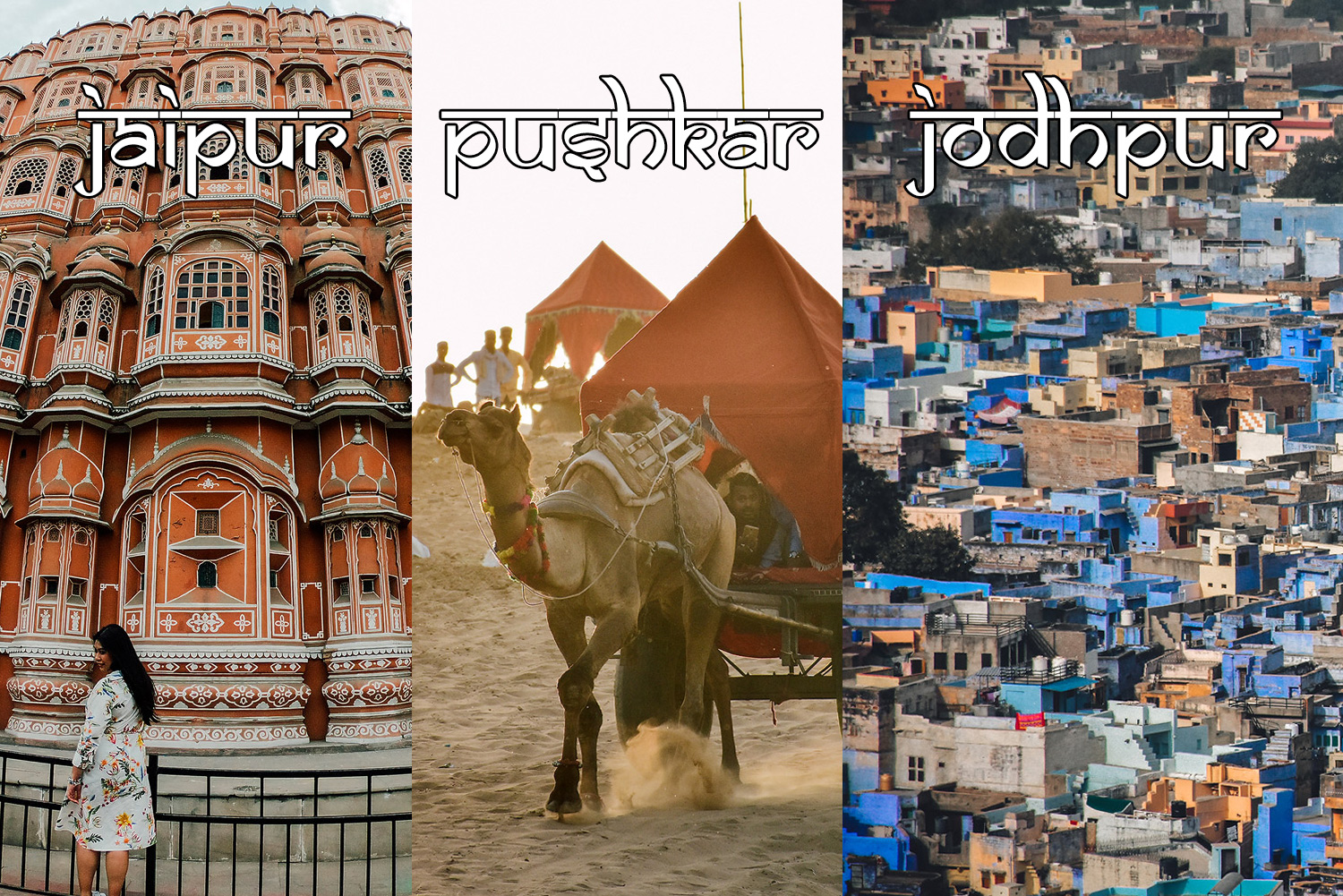 อินเดียไม่ค่อยเพลีย เที่ยว 3 เมืองสีสันแห่งราชสถาน | Jodhpur – Pushkar – Jaipur