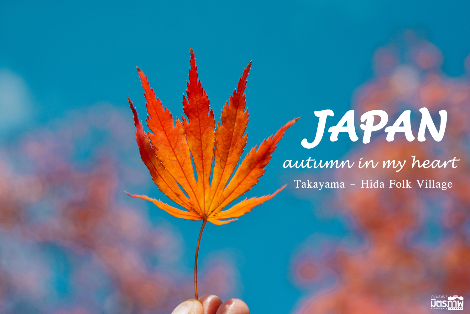 Autumn in my Heart จาก Nagoya ถึง Takayama | Hida Folk Village