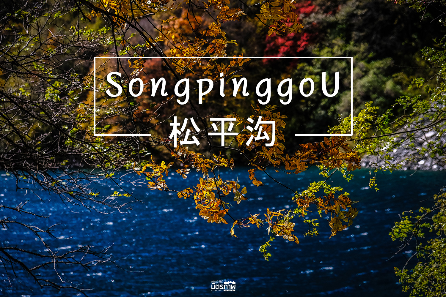 เที่ยวจีน ชมใบไม้เปลี่ยนสี ที่ Songpinggou